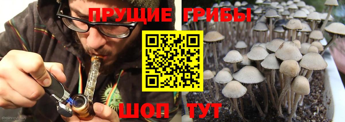 Краснознаменск  Псилоцибиновые грибы ЛСД  Вход с VPN 